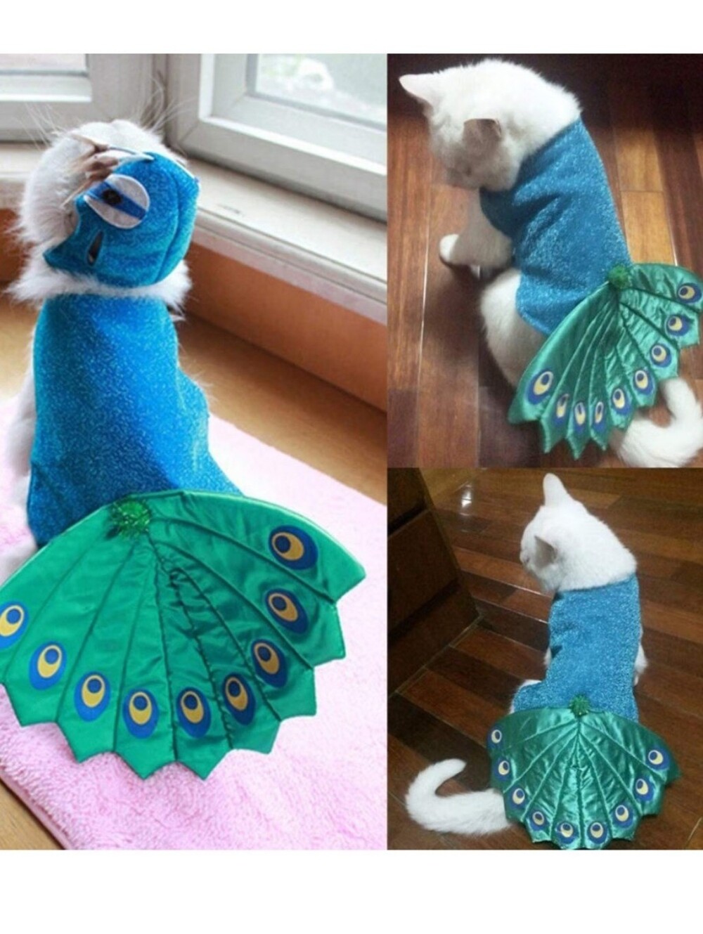 Peacock Halloween Costume For a Cat or Dog,  Small, NWOT🦚